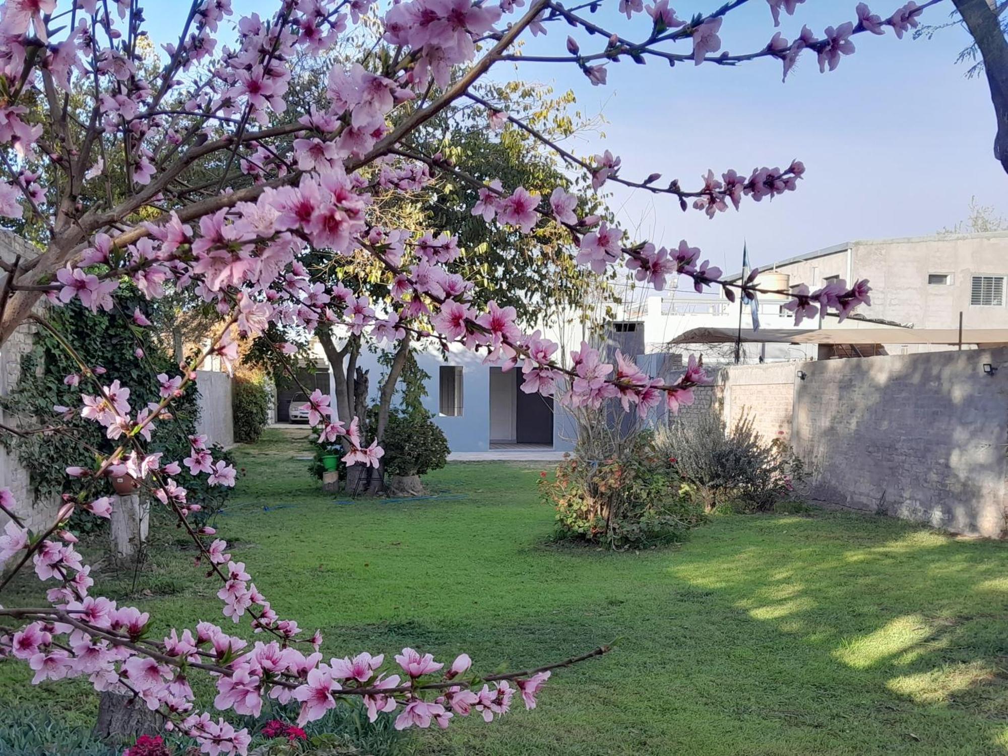 La Casa De Flor *
